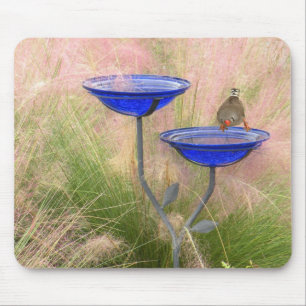 Mouse Pad Bird Bath & Finch