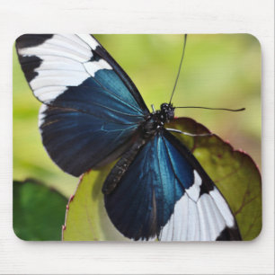 Mouse Pad/Blue Longwing Butterfly Mat