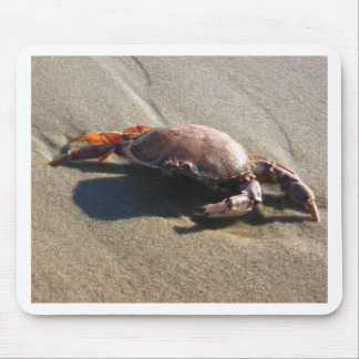 Mouse Pad, Crab, Coast Guard Beach Mat