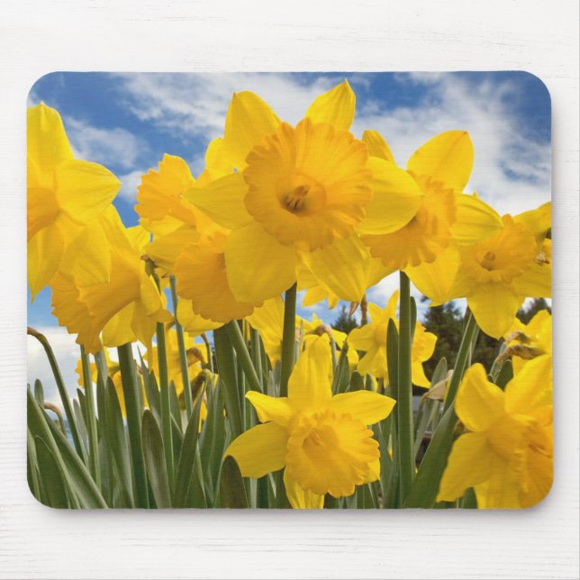 Mouse Pad-Daffodils Mouse Mat (Front)