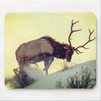mouse pad deer extra grande full speed wild life