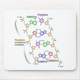 Mouse Pad Diagram of the Chemical structure of DNA