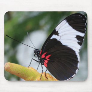 Mouse Pad/Doris Longwing Butterfly Mat