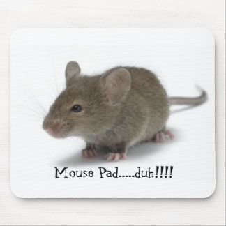Mouse Pad.....duh!!!! Mat