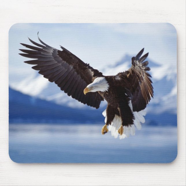 Mouse Pad-Eagle Mouse Mat (Front)