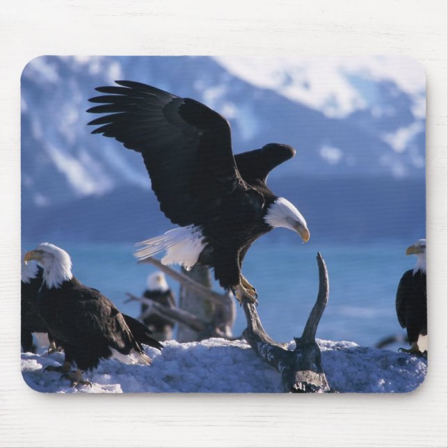 Mouse Pad-Eagles Mouse Mat (Front)