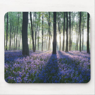 Mouse Pad-Forest Mat