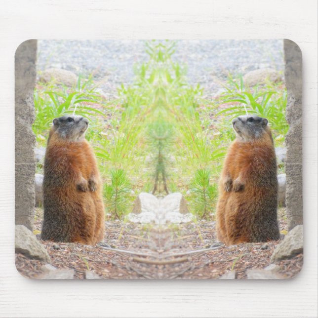 Mouse Pad Golden Marmets Yellowstone (Front)