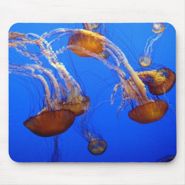 Mouse Pad - Jellyfish (Front)