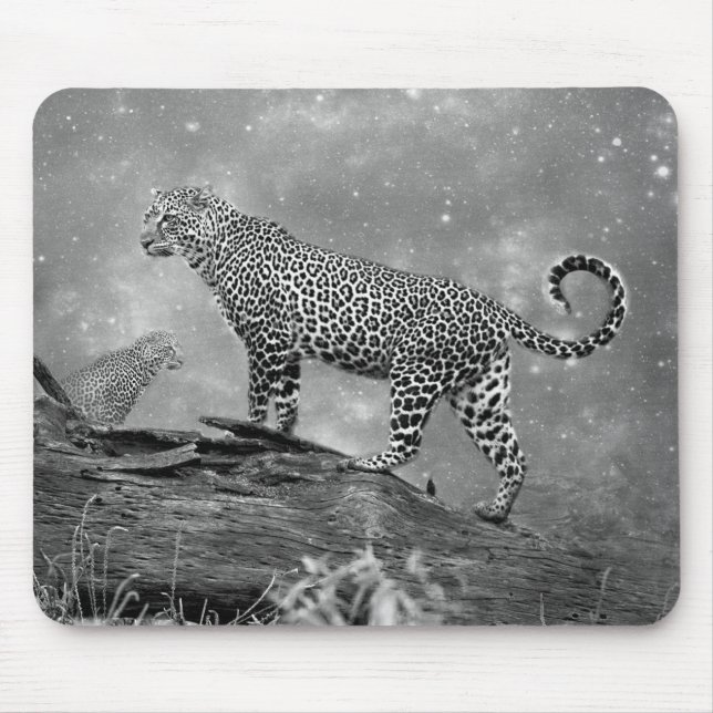 Mouse Pad/Leopard Mat (Front)