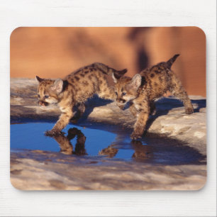 Mouse Pad-Mountain Lion Cubs Mat