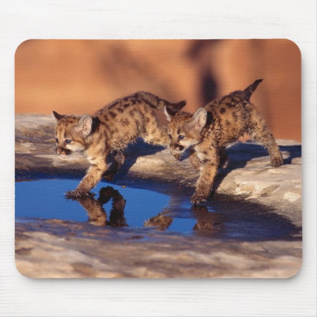 Mouse Pad-Mountain Lion Cubs Mat (Front)