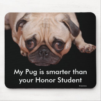 Mouse Pad: My Pug is smarter... Mat