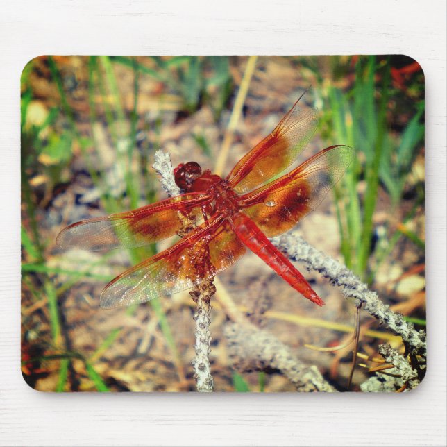 Mouse Pad Orange Dragonfly (Front)