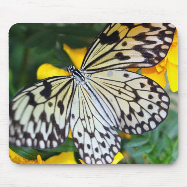 Mouse Pad/Paperkite Mat (Front)