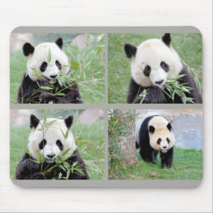 Mouse Pad Photo giant panda , animals 0264.