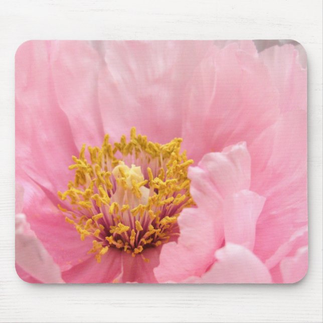 Mouse Pad: Pink Tree Peony Mat (Front)