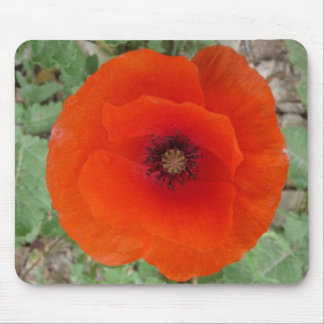 Mouse Pad. Poppy (Poppy) Mat