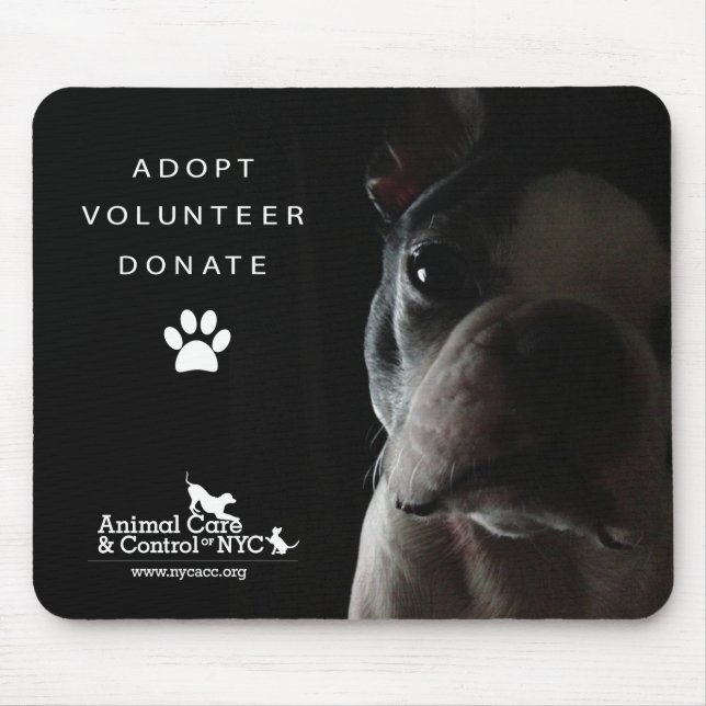 Mouse Pad "Quietly watching" (Front)