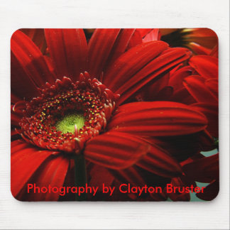 Mouse Pad -- Red Floral