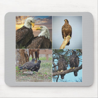 Mouse pad SWFL eagle family Harriet, M115