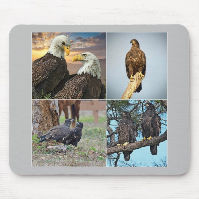 Mouse pad SWFL eagle family Harriet, M115 (Front)