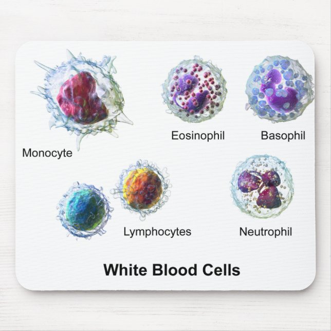 Mouse Pad White Blood Cells Leukocytes Diagram  (Front)