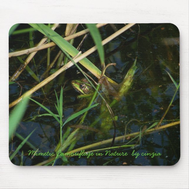 Mouse Pad with a green mimetic frog (Front)