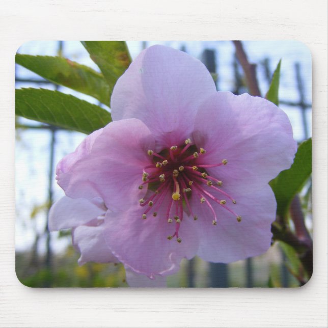 Mouse pad with flower (Front)