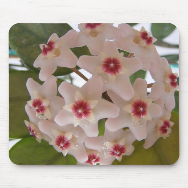 Mouse pad with flowers (Front)