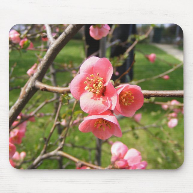 Mouse pad with flowers (Front)