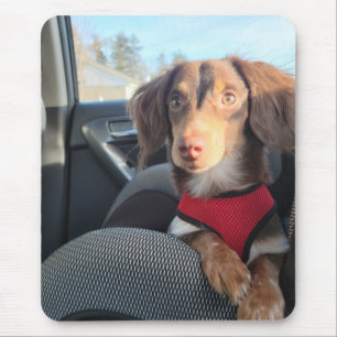 mouse pad with Kio the puppy