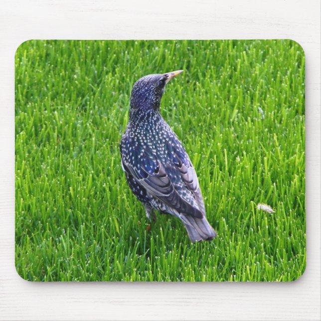 Mouse pad with little bird (Front)