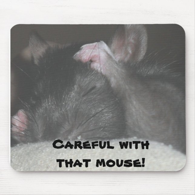 Mouse pad with mouse (Front)