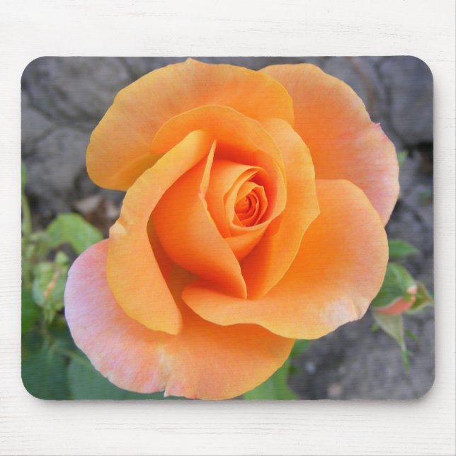 Mouse pad with orange rose (Front)