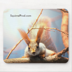 Mouse Pad with Squirrel