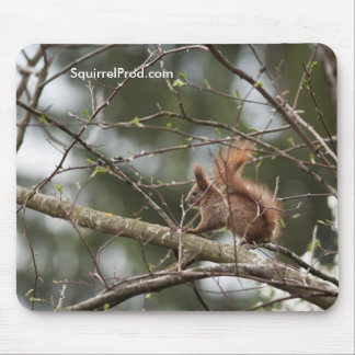 Mouse Pad with Squirrel