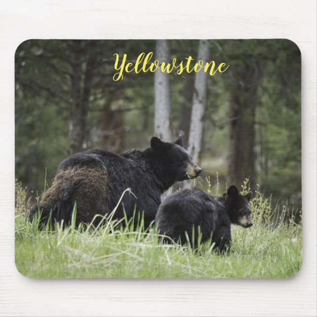 Mouse Pad-Yellowstone Bear Mat (Front)