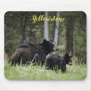 Mouse Pad-Yellowstone Bear Mouse Mat