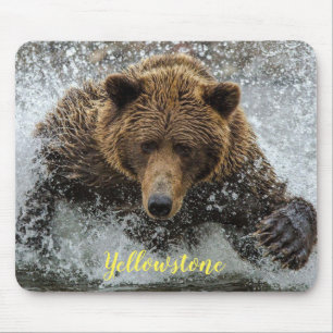 Mouse Pad-Yellowstone Bear Mouse Mat