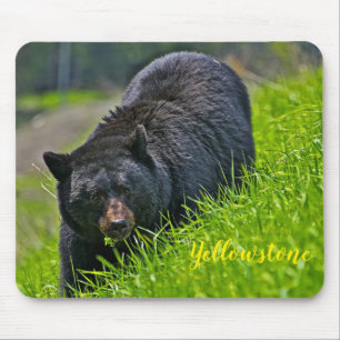 Mouse Pad-Yellowstone Black Bear Mouse Mat