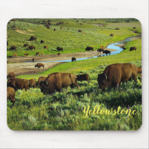 Mouse Pad-Yellowstone Buffalo Mat