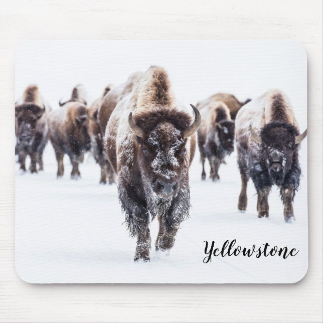 Mouse Pad-Yellowstone Buffalo Mouse Mat (Front)