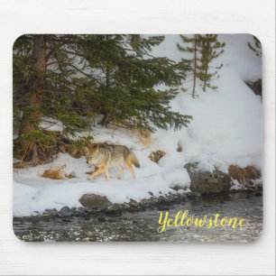 Mouse Pad-Yellowstone Coyote Mat