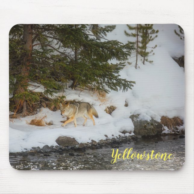 Mouse Pad-Yellowstone Coyote Mat (Front)