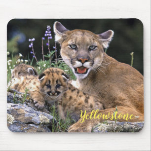 Mouse Pad-Yellowstone Mountain Lion Mat