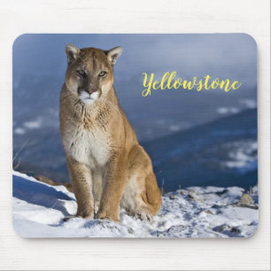 Mouse Pad-Yellowstone Mountain Lion Mouse Mat