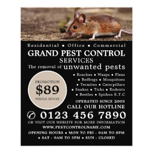 Mouse, Pest Control Advertising Flyer