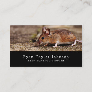 Mouse, Pest Control Business Card