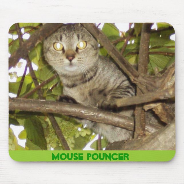 MOUSE POUNCER MAT (Front)